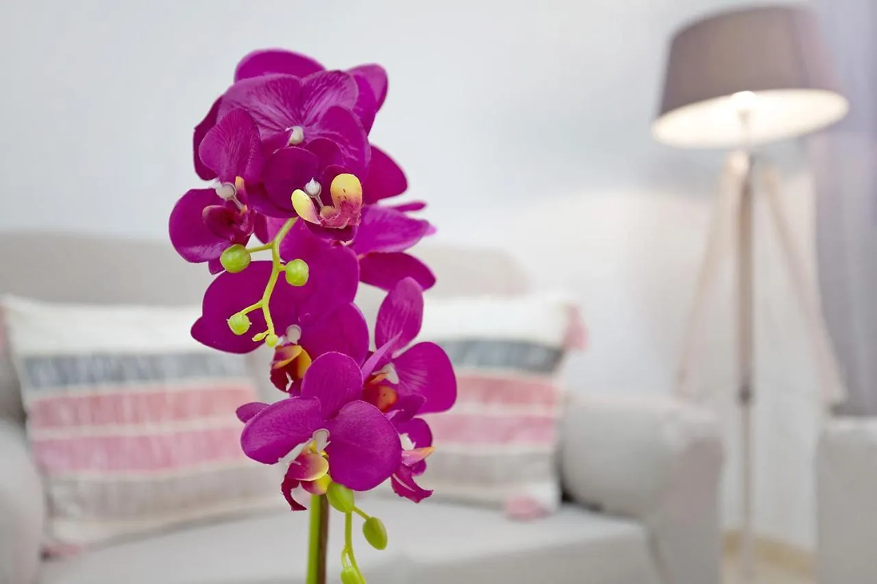 Apartamento Casita Amiga Del Mar Gran Tarajal